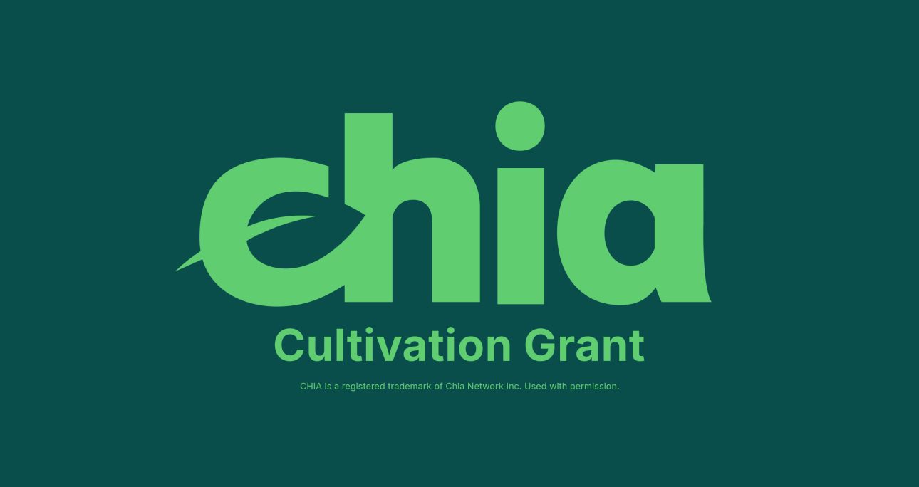NFTr.pro Wins Chia Grant: Empowering Creators and Driving Innovation